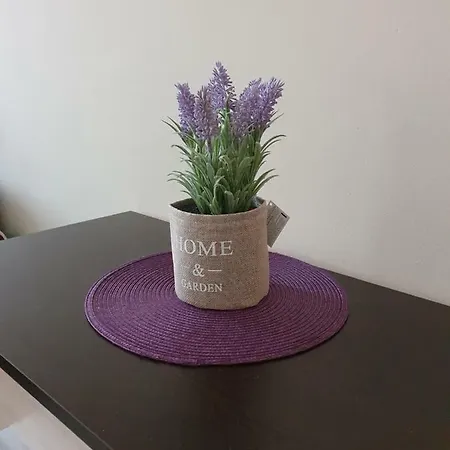 Apartment Orchid Goldstrand