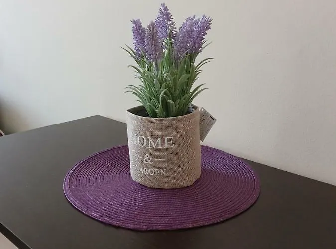 Apartament Orchid Złote Piaski