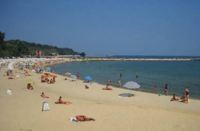 Orchid * Złote Piaski